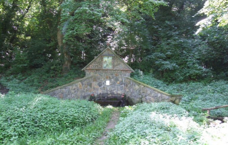 Izvor-Savinac-770x490