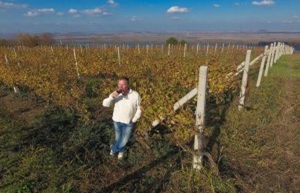 Vinarija-Stojanovic-1