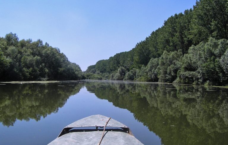 dunav10