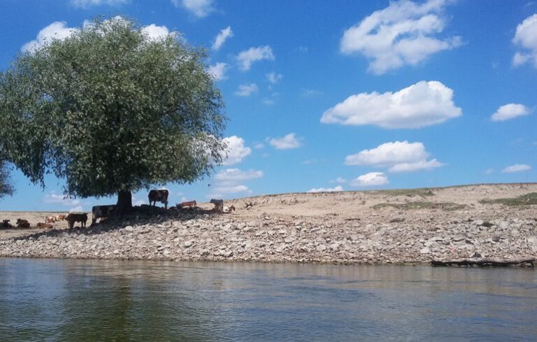 dunav4