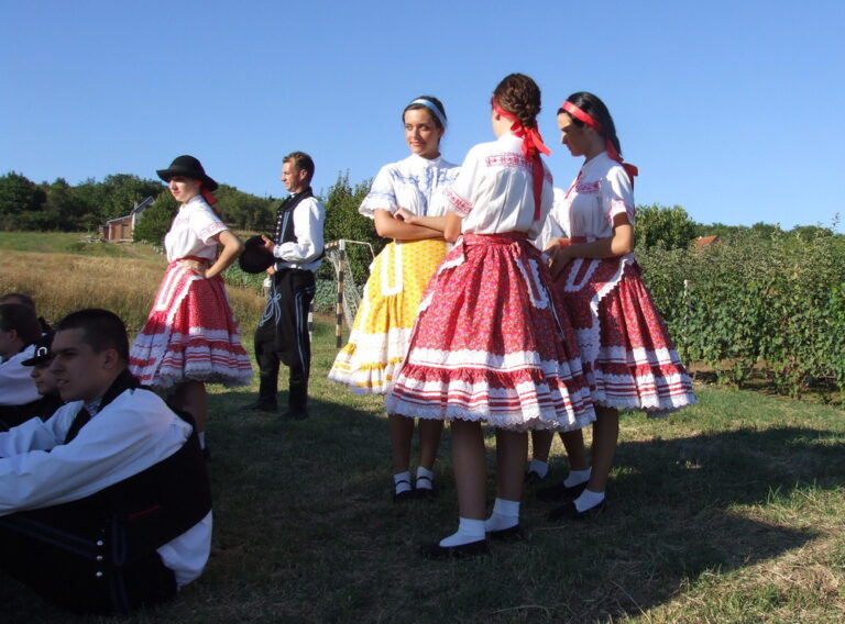 vinogradi2